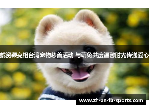 戴资颖亮相台湾宠物慈善活动 与萌兔共度温馨时光传递爱心 戴资颖亮相台湾宠物慈善活动 与萌兔共度温馨时光传递爱心