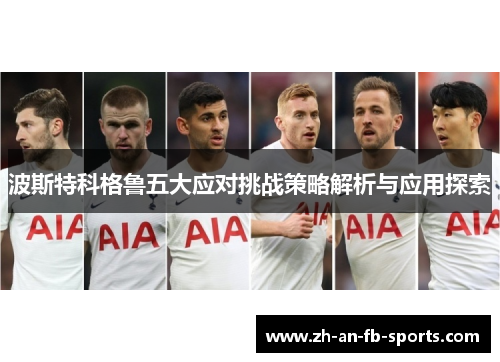 波斯特科格鲁五大应对挑战策略解析与应用探索