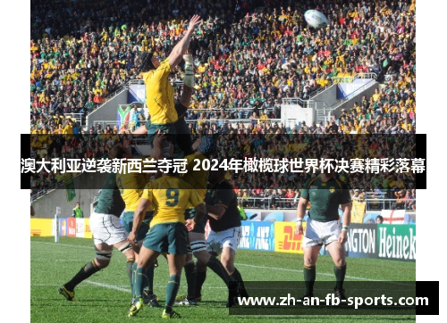 澳大利亚逆袭新西兰夺冠 2024年橄榄球世界杯决赛精彩落幕