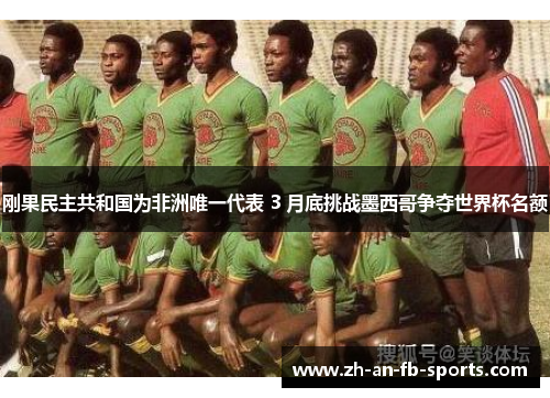 刚果民主共和国为非洲唯一代表 3 月底挑战墨西哥争夺世界杯名额