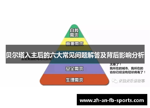 贝尔塔入主后的六大常见问题解答及背后影响分析